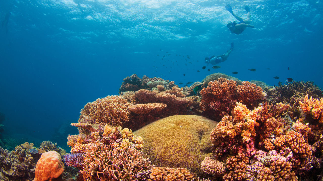 Airbnb announces Community Fund grant for the Reef
