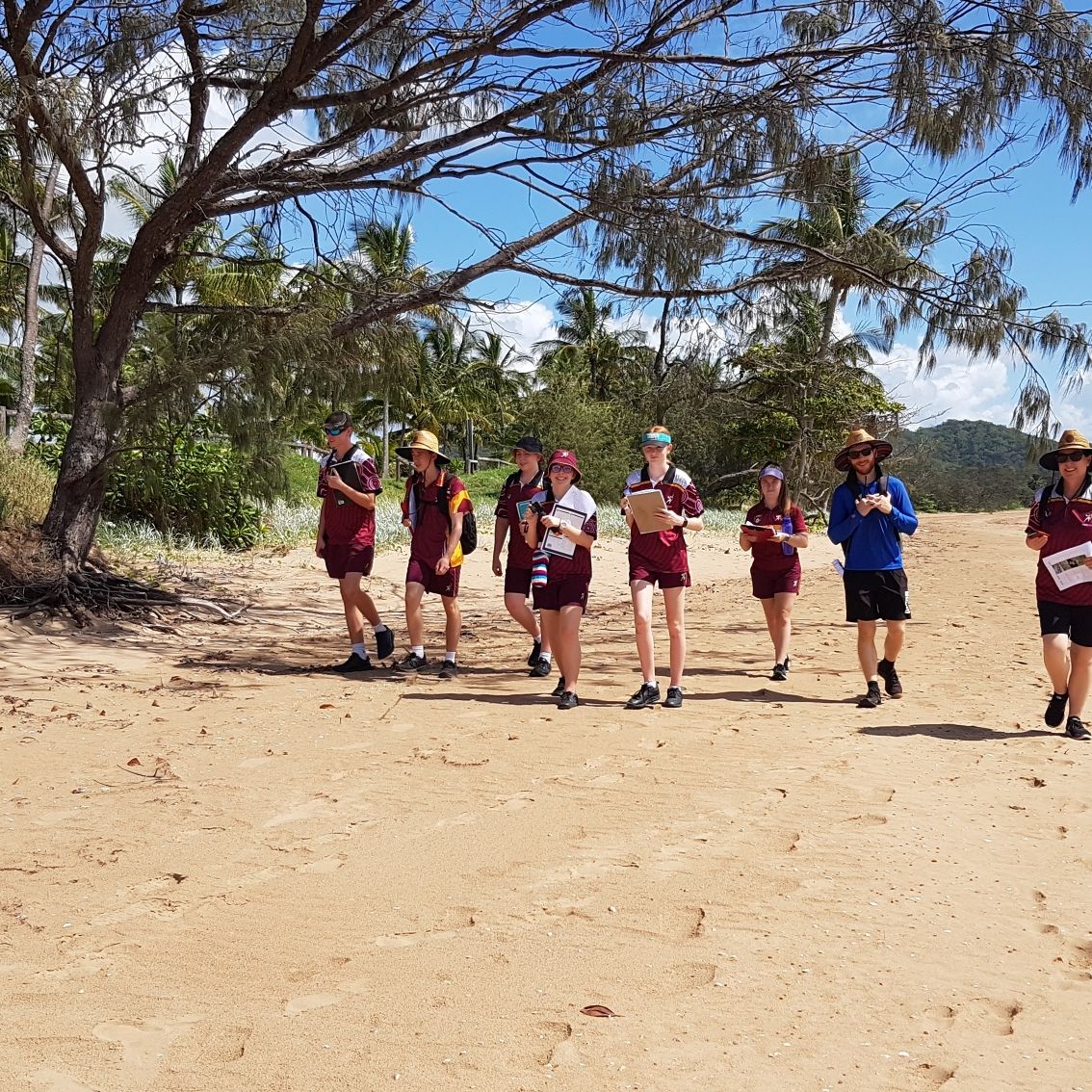 Sarina State High School students learning about coastal rehabilitation at Grasstree Beach. Credit: Saskia von Fahland