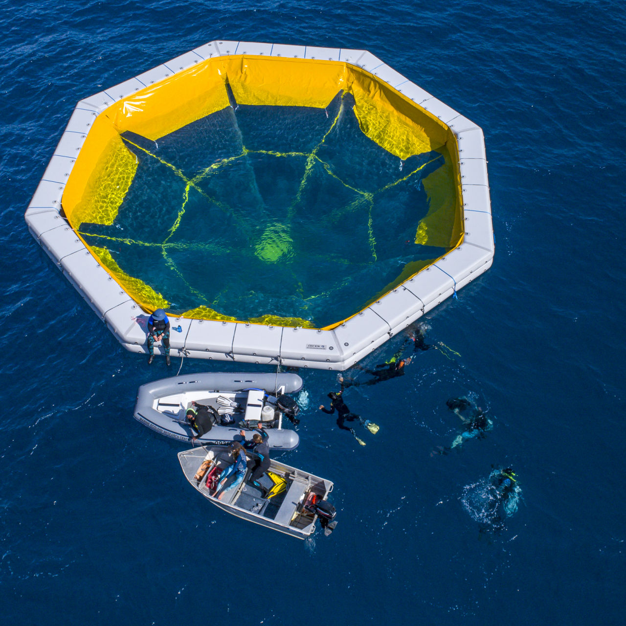 1. Floating nurseries prepared