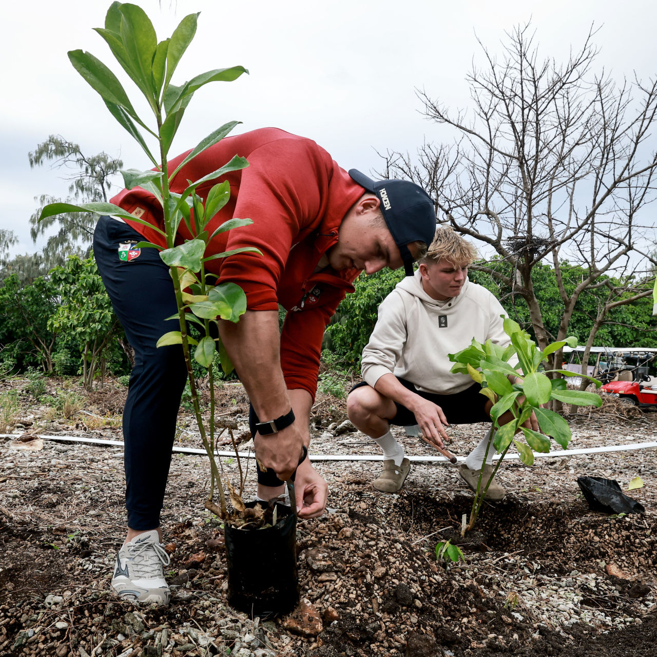 Players planted trees contributing to the largest island habitat rehabilitation project in the Southern Hemisphere. Credit: Dan Sheridan | British Irish Lions.