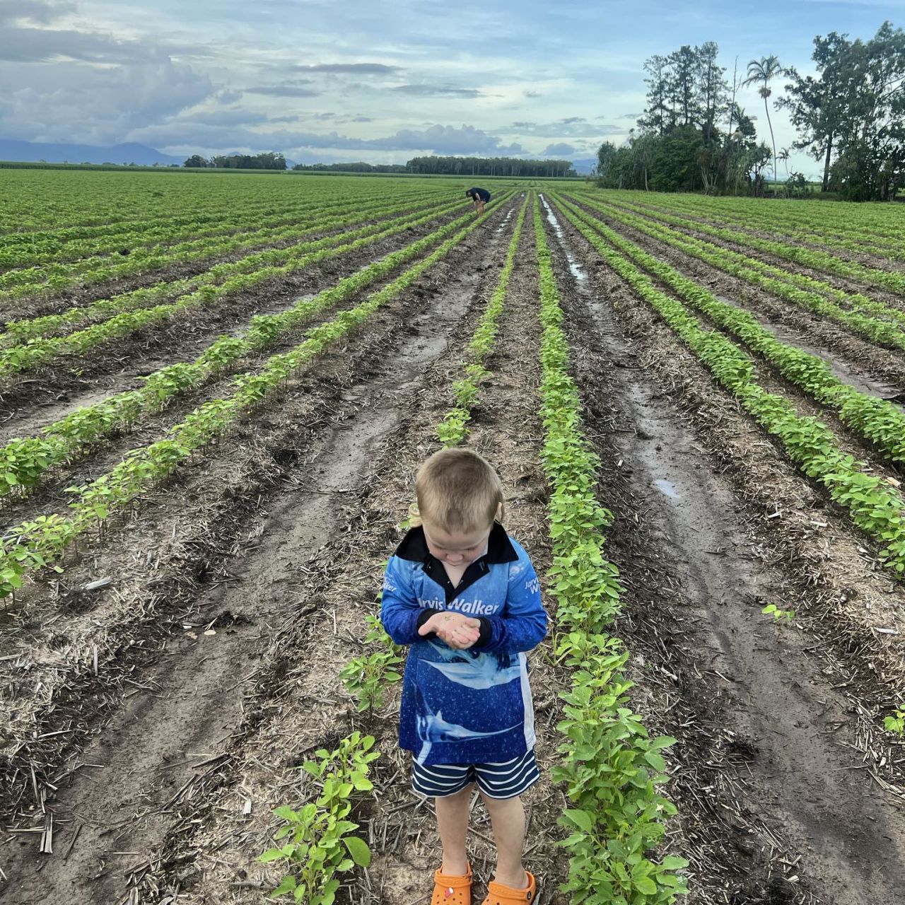 Different fallow management practices are used to address soil health. Credit LiquaForce