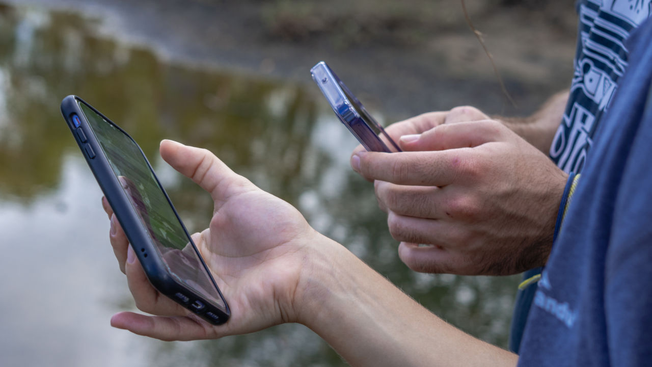 Phones used to identify various biodiversity in nature.