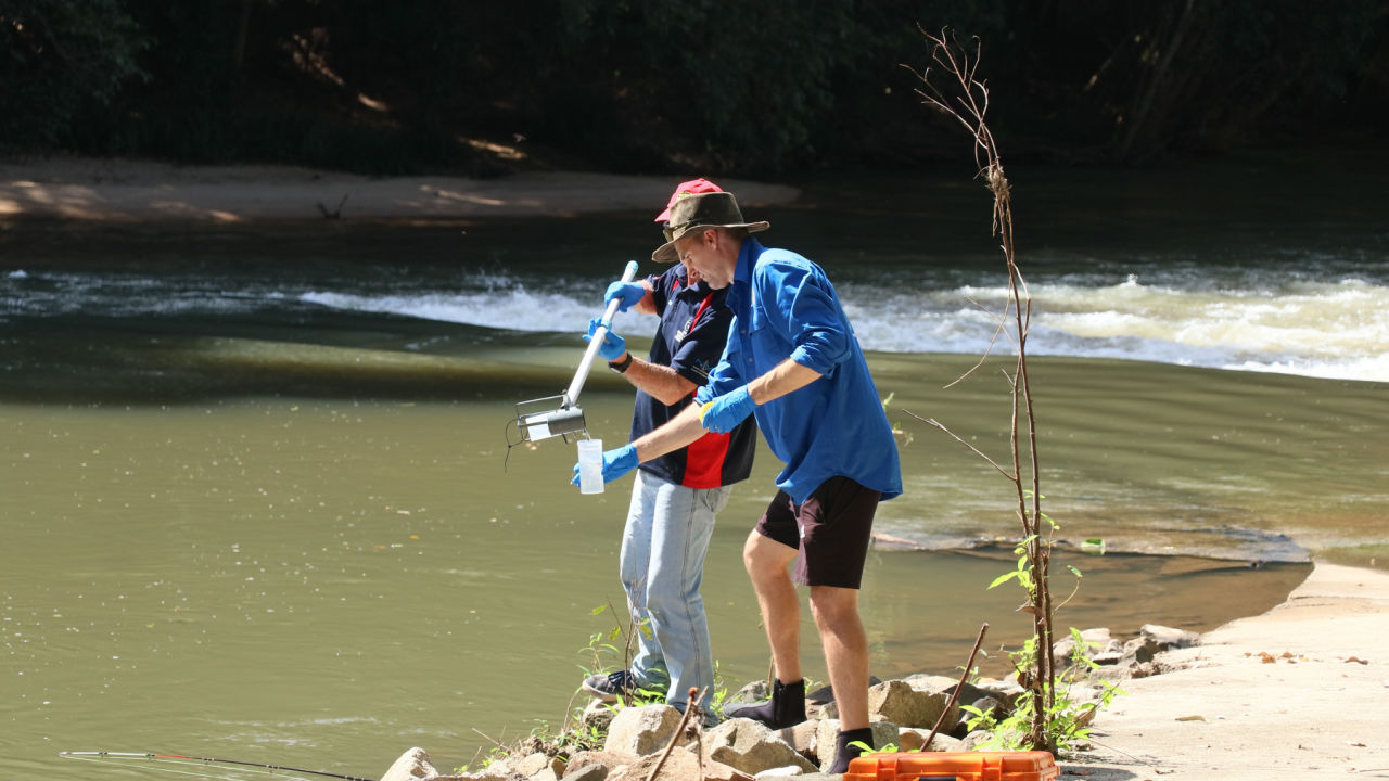 Uncovering hidden species with eDNA