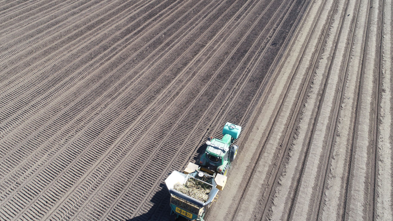 Soil health is no small potatoes