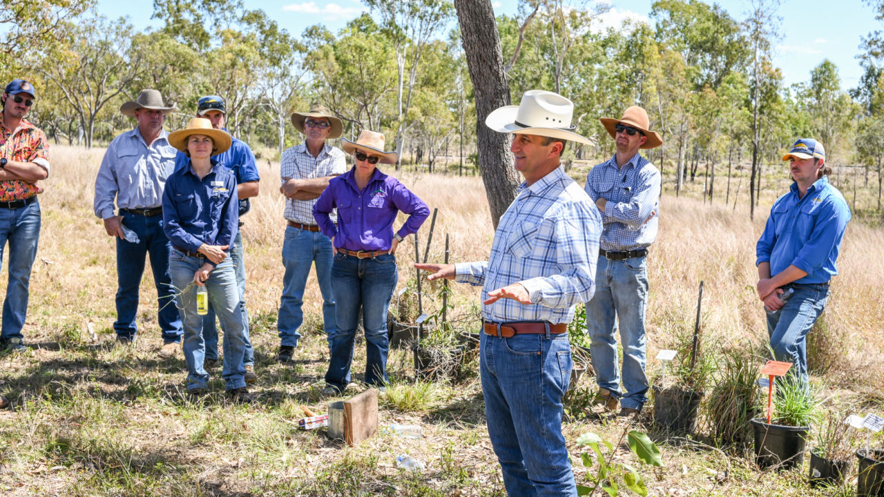 Working with nature to restore degraded landscapes