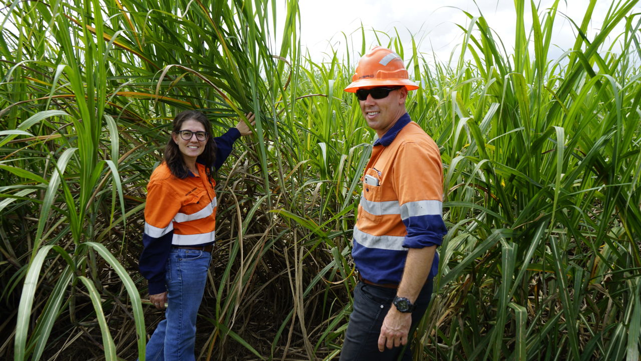 Technology changes the way farmers fertilise their cane crops