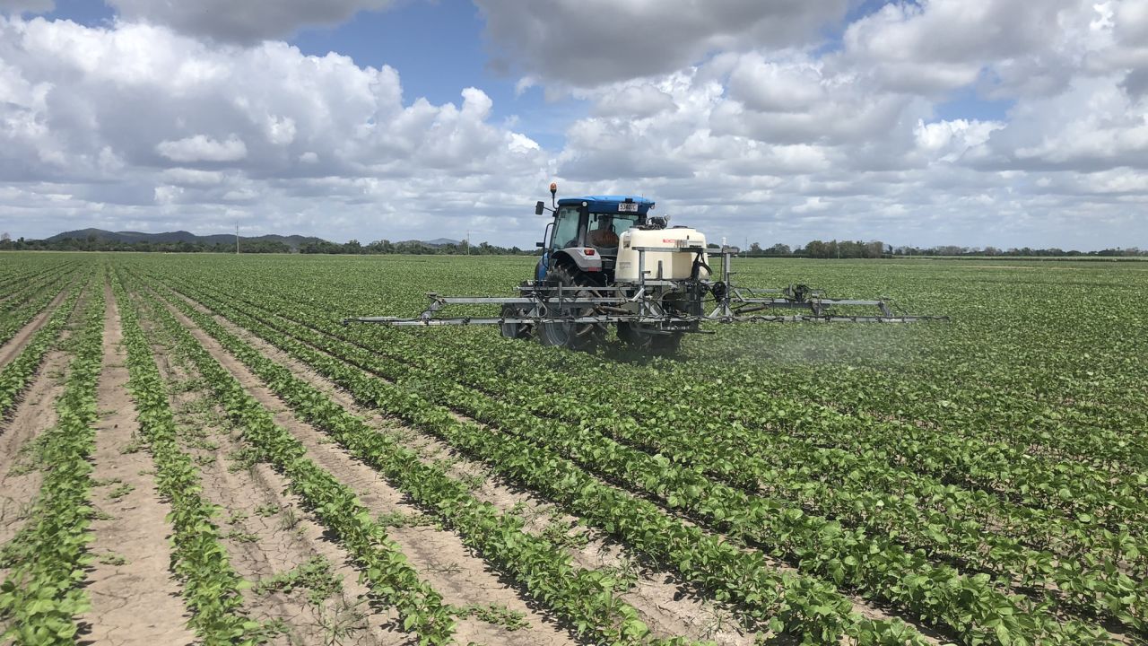 Jake, Alex and Terry during spray trials for AutoWeed.