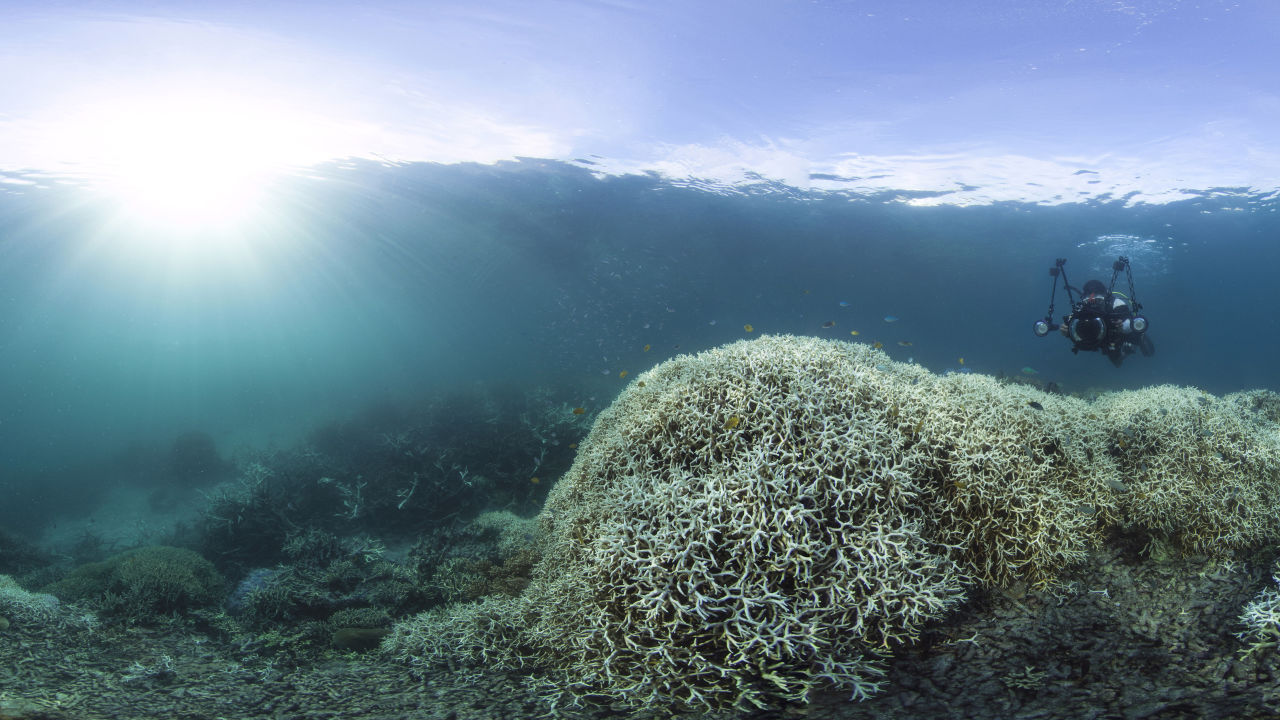 Climate change crisis:  The IPCC’s findings and our ambitious plan to save the Great Barrier Reef
