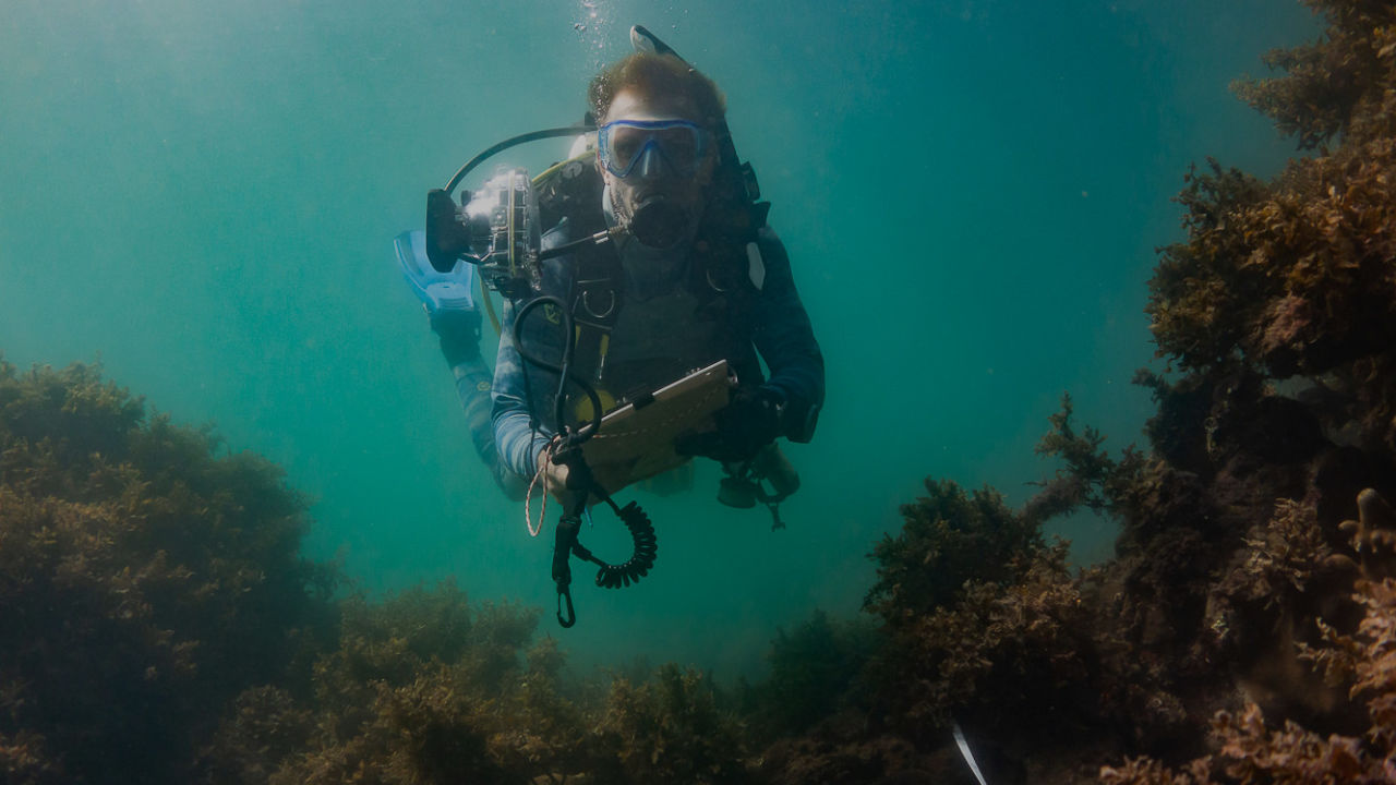 First citizen science coral data use for report cards