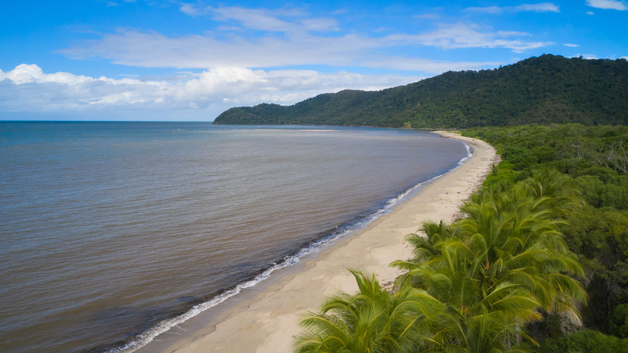 An aerial shot of a long stretch of beach where the rainforest meets the reef on Dabu Jajikal Country.