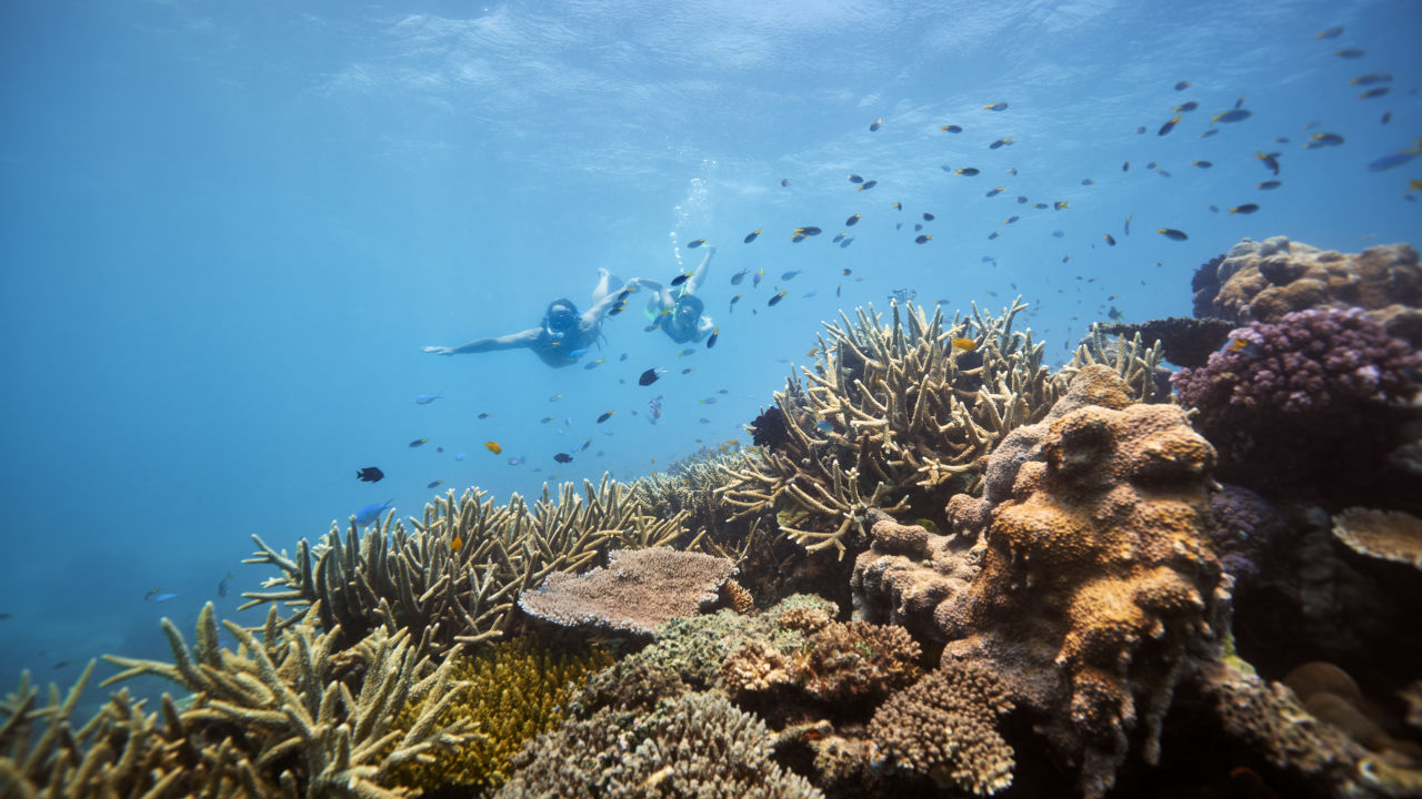 Mission Beach - Great Barrier Reef