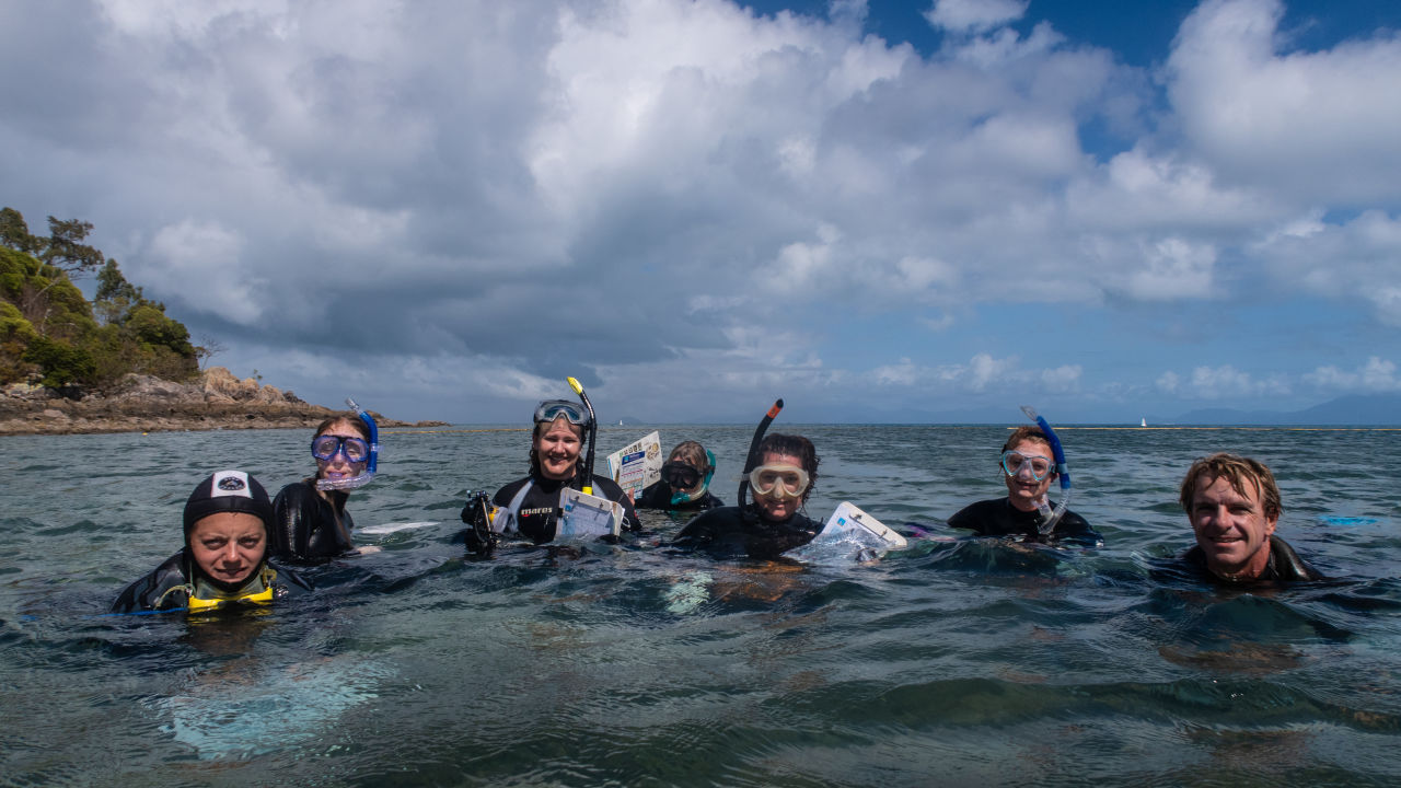 Citizen scientists in training at Orpheus Island