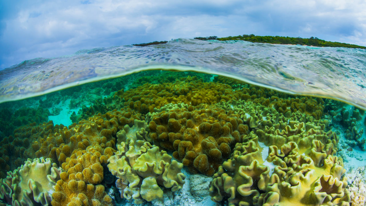 Great Barrier Reef Marine Park Authority