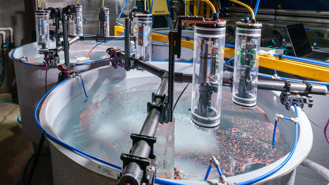 The game-changing robotics helping to grow new corals