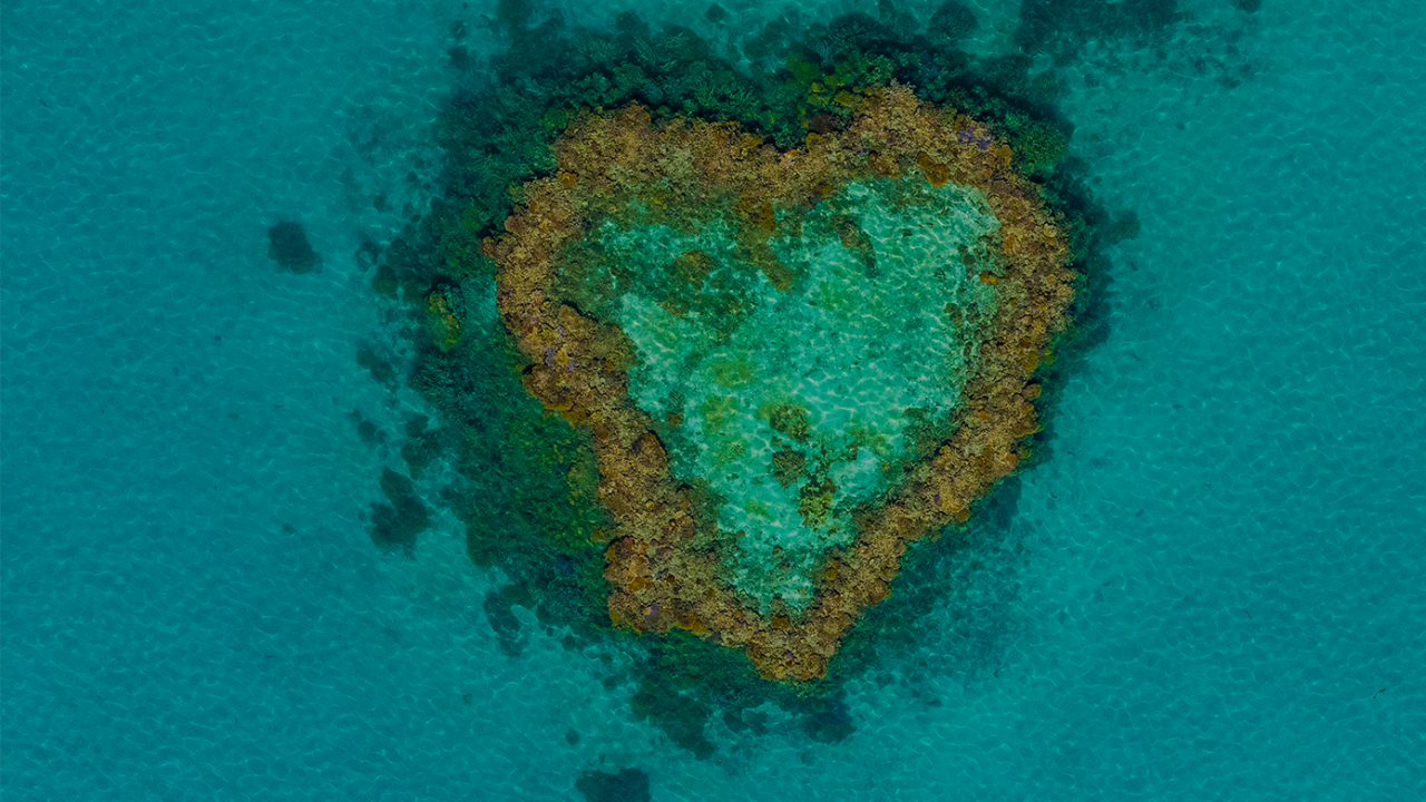 Heart Reef, Whitsundays
