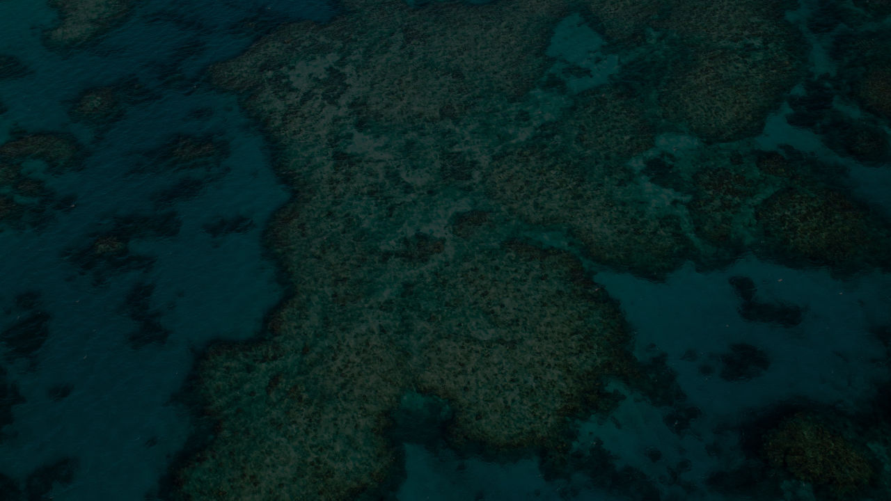 Cyclone Gretel reduces sea temperatures on Great Barrier Reef