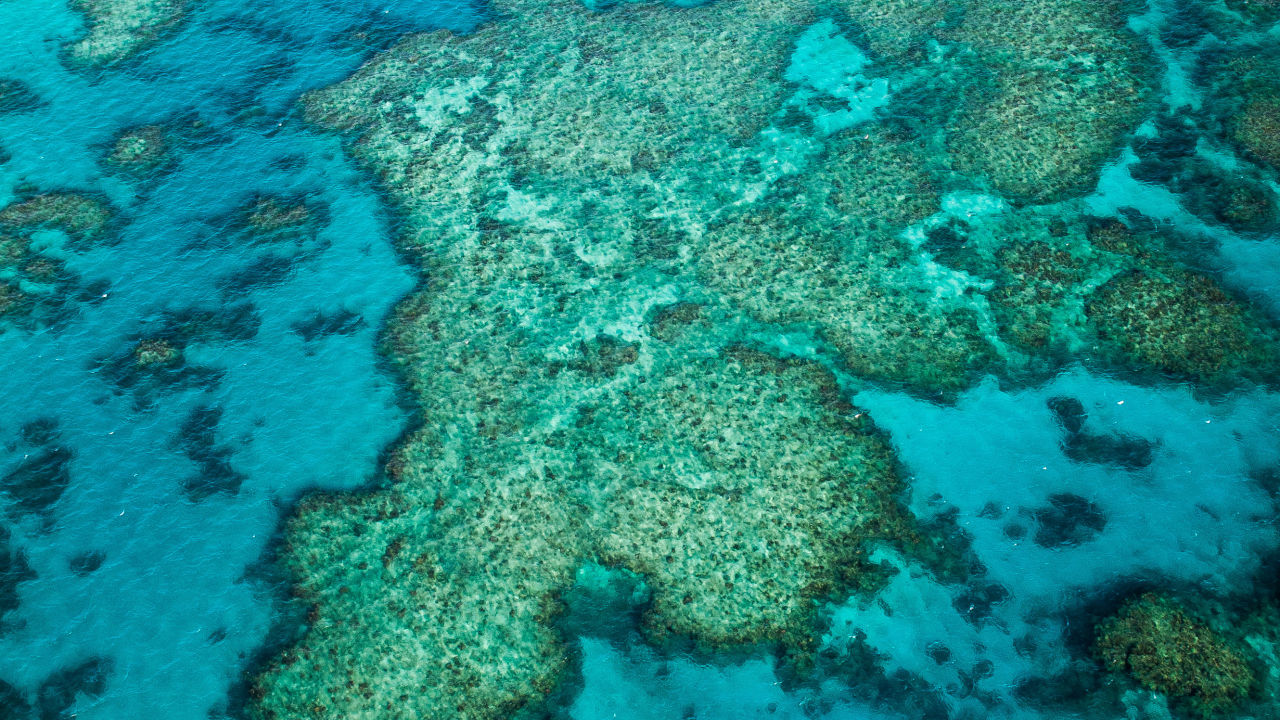 Cyclone Gretel reduces sea temperatures on Great Barrier Reef