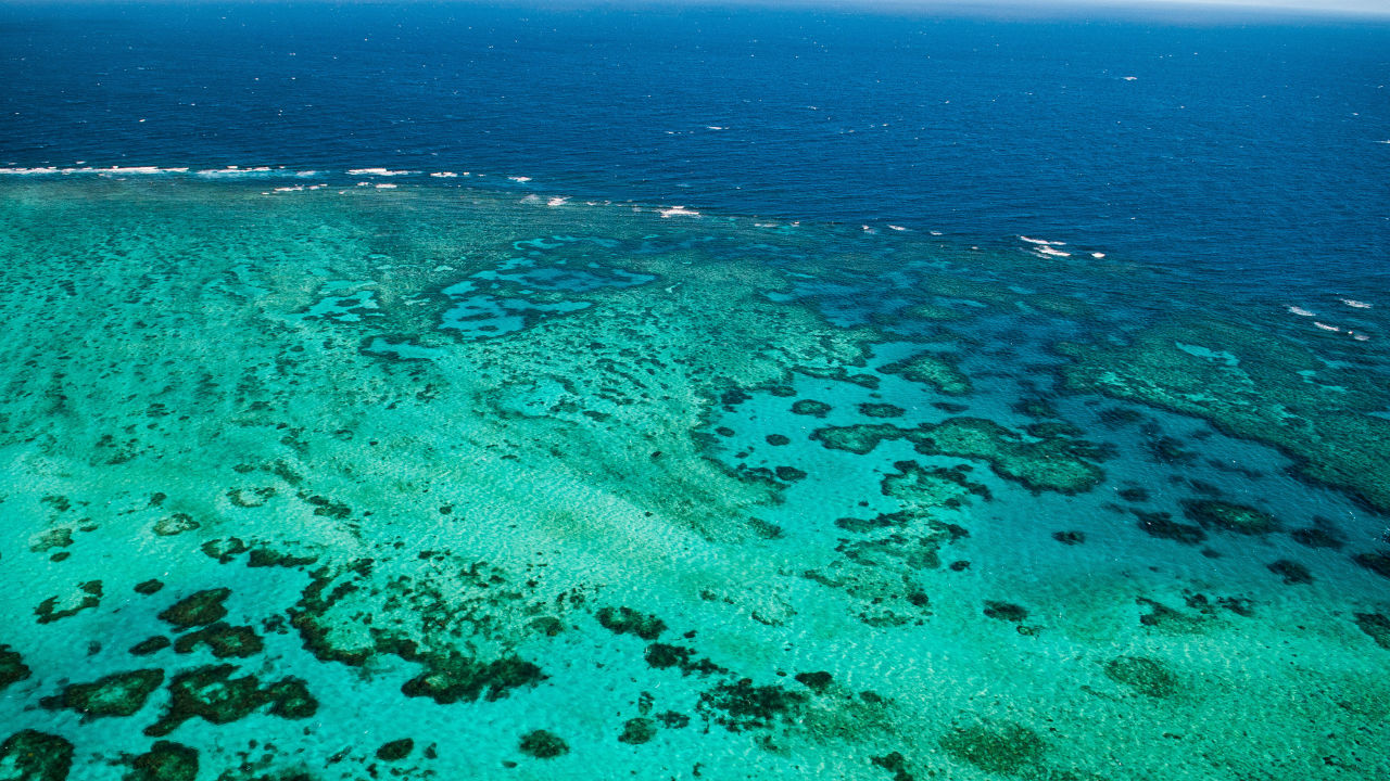 How we predict Reef threats like coral bleaching