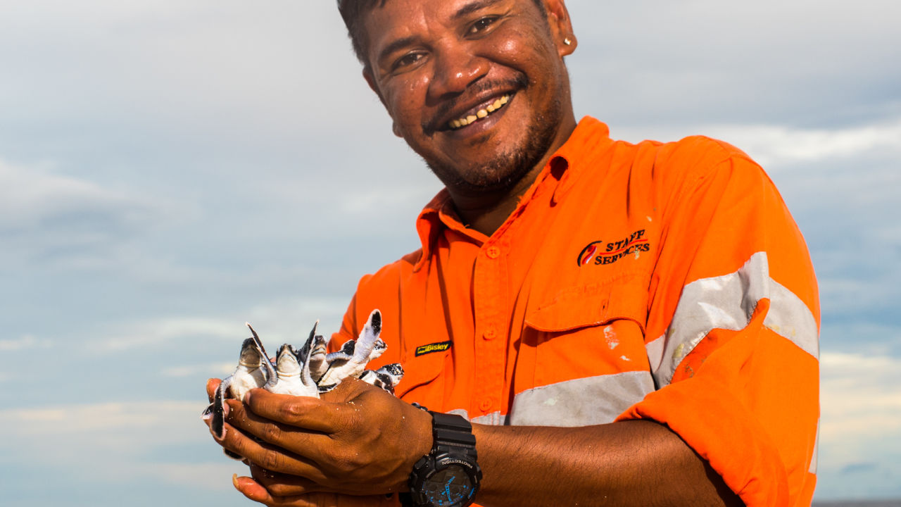 NAIDOC Week: How First Nations People are saving endangered turtles 