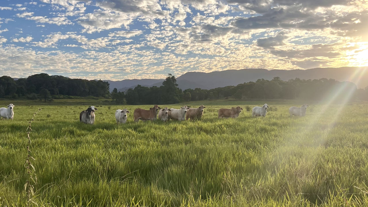 Affordable technology for Precision Agriculture