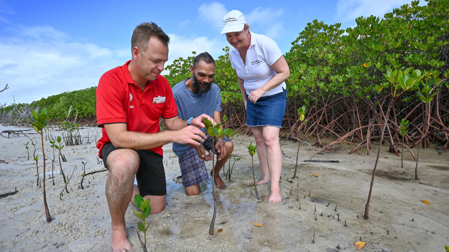 Coles CSO Thinus Keeve, Traditional Owner Eric Lymburner, GBRF Managing Director Anna Marsden inspect tidal mangroves in the Great Barrier Reef catchment