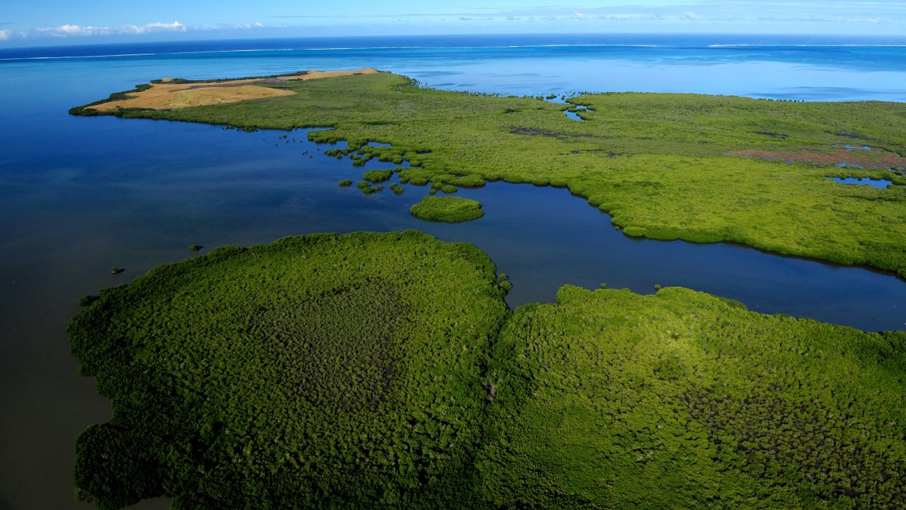 UNESCO report supports the crucial role of the Foundation’s Resilient Reefs Initiative in fighting climate change