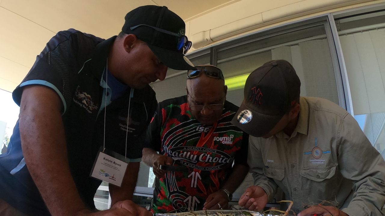 Sea ranger Kelvin Rowe, Uncle Mick Eggmolesse and sea ranger Darren Hodges working together to identify different species of seagrass.  Uncle Mick knows which ones are the favourites of turtle and dugong.