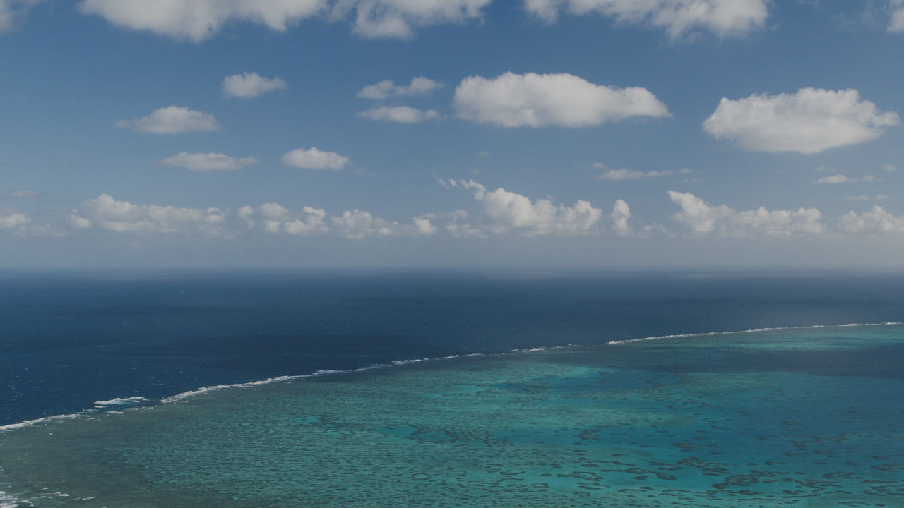 Is it too late to save the Great Barrier Reef?  