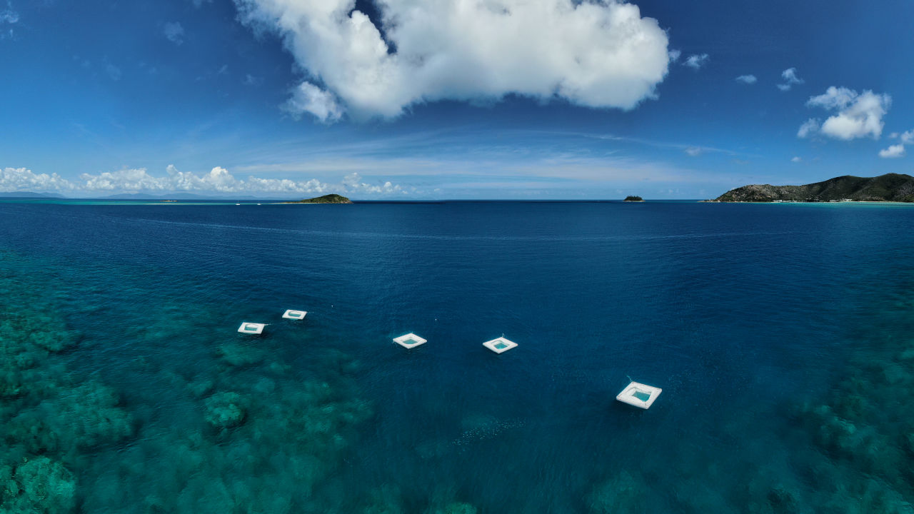Science and tourism a perfect match for Reef ‘Love Fest’