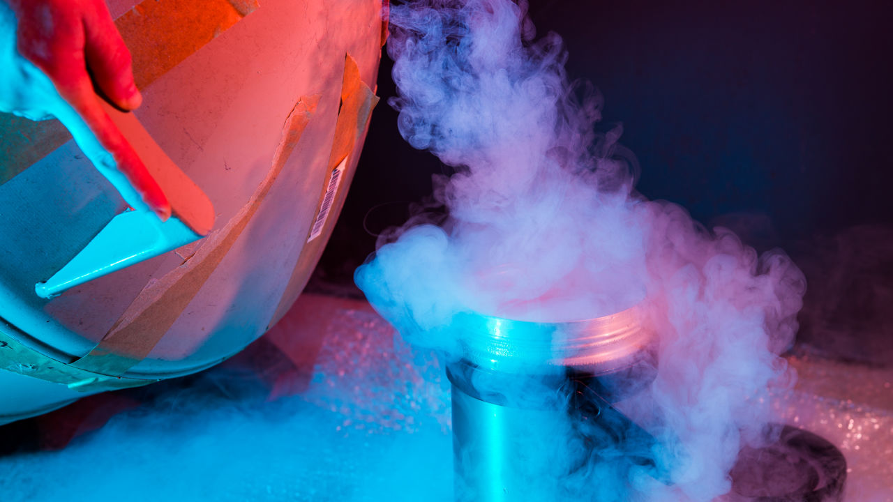 Freezing the Reef: