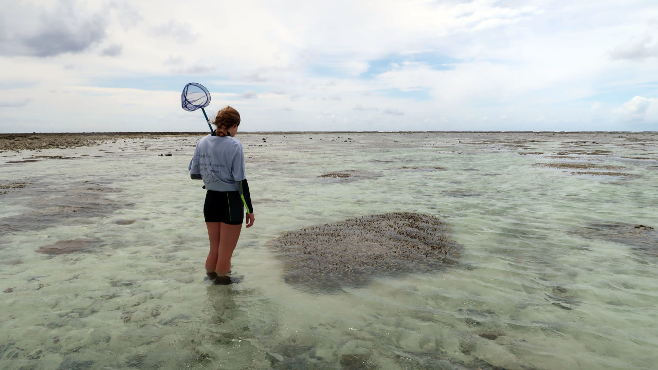 Leaf to Reef research team on Lady Elliot Island as part of the Reef Islands Initiative. Image credit: Asia Armstrong