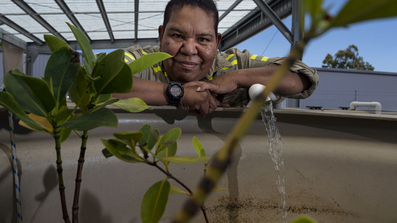 Markeeta Sullivan at the seagrass nursery