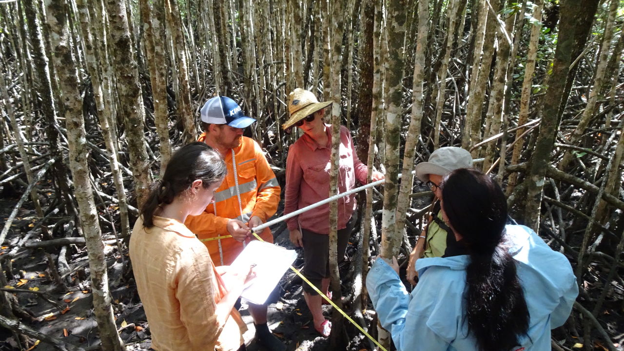 Teachers undertaking training in tidal wetland citizen science monitoring methods at Boyne Island Environment Education Centre. Photo credit: Earthwatch