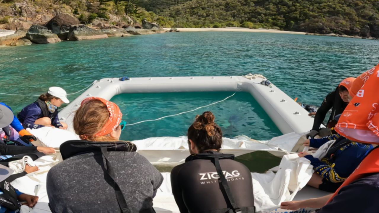 As a Great Barrier Reef Foundation partner, ZigZag Whitsundays is involved in our Boats4Coral program. Credit: Australian Institute of Marine Science.