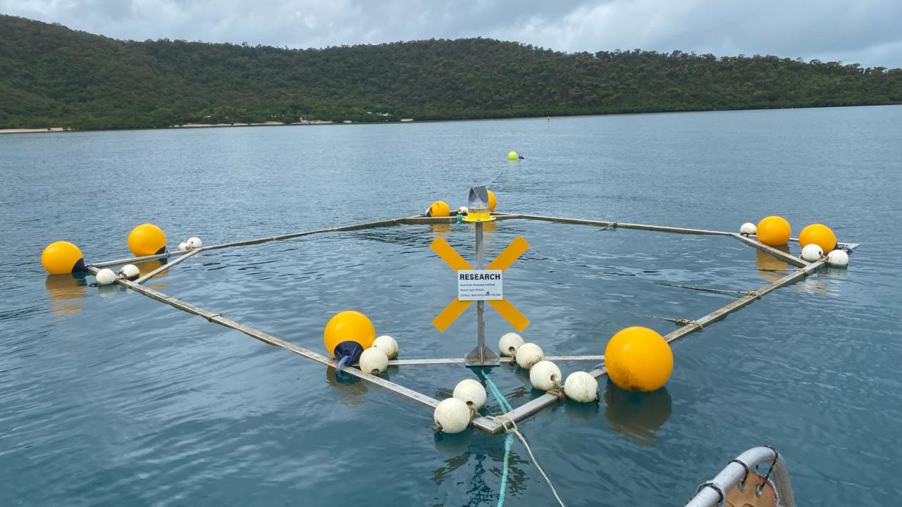 A nature-based solution for a healthier Reef