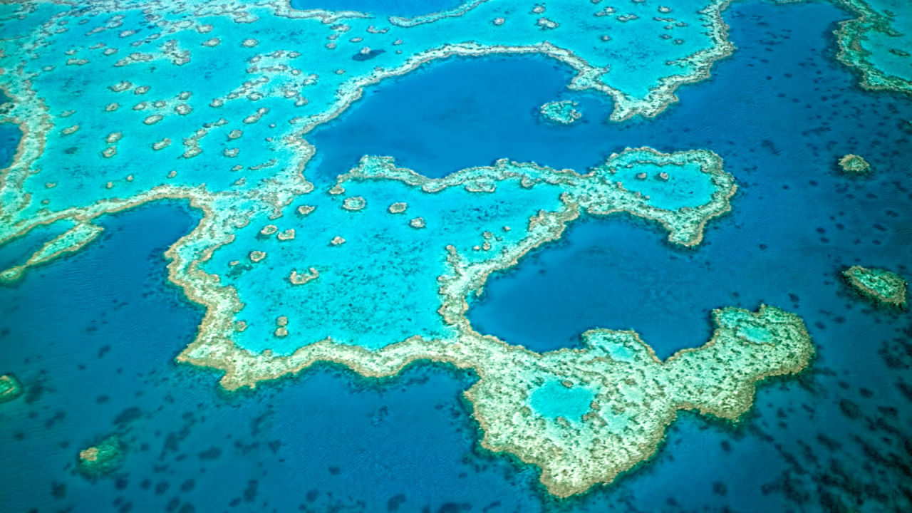 eReefs project a finalist in Australia’s science ‘Oscars’
