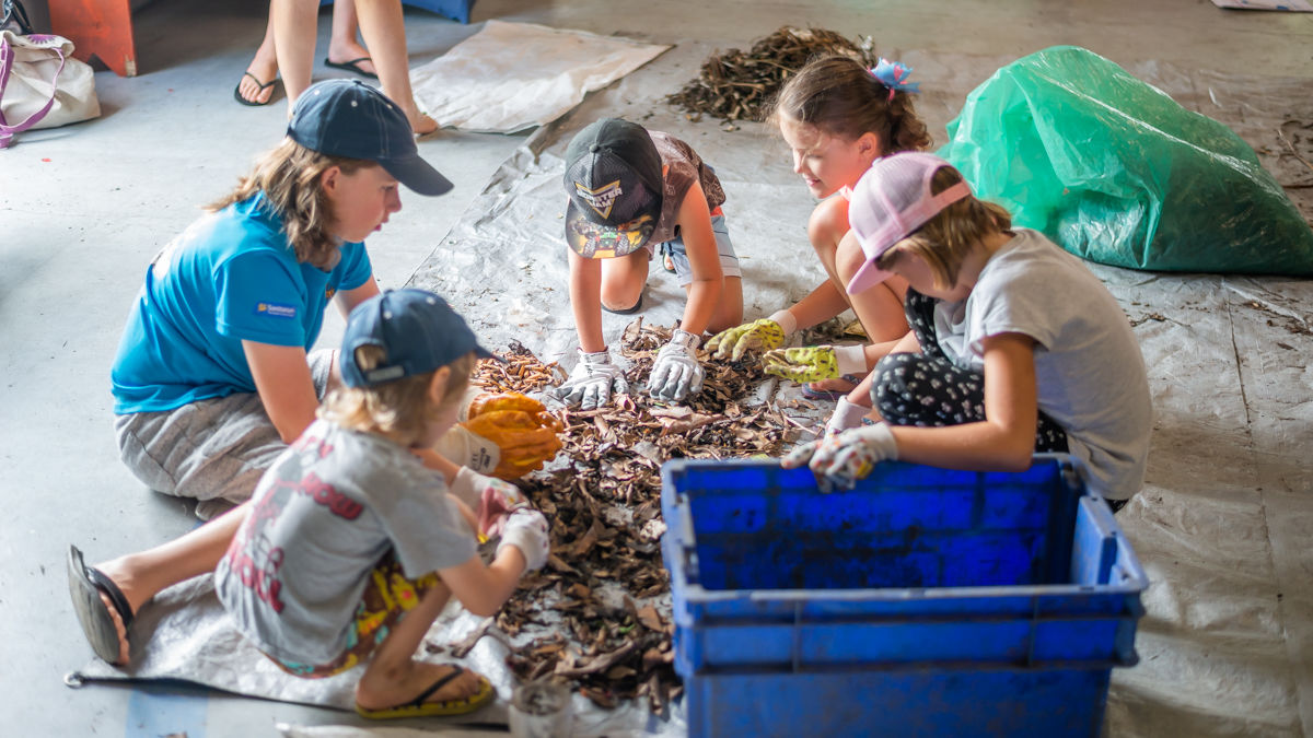 Youth-led conservation