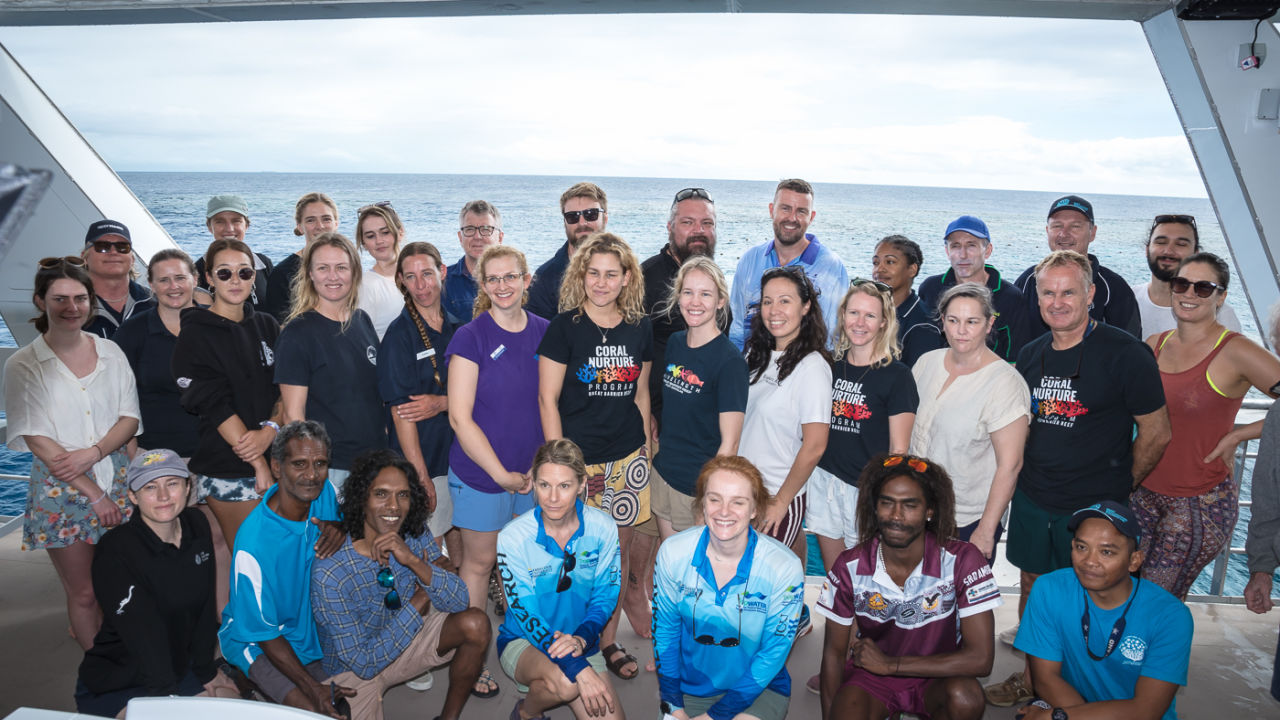 Cairns-Port Douglas Reef Hub 2022 Year in Review