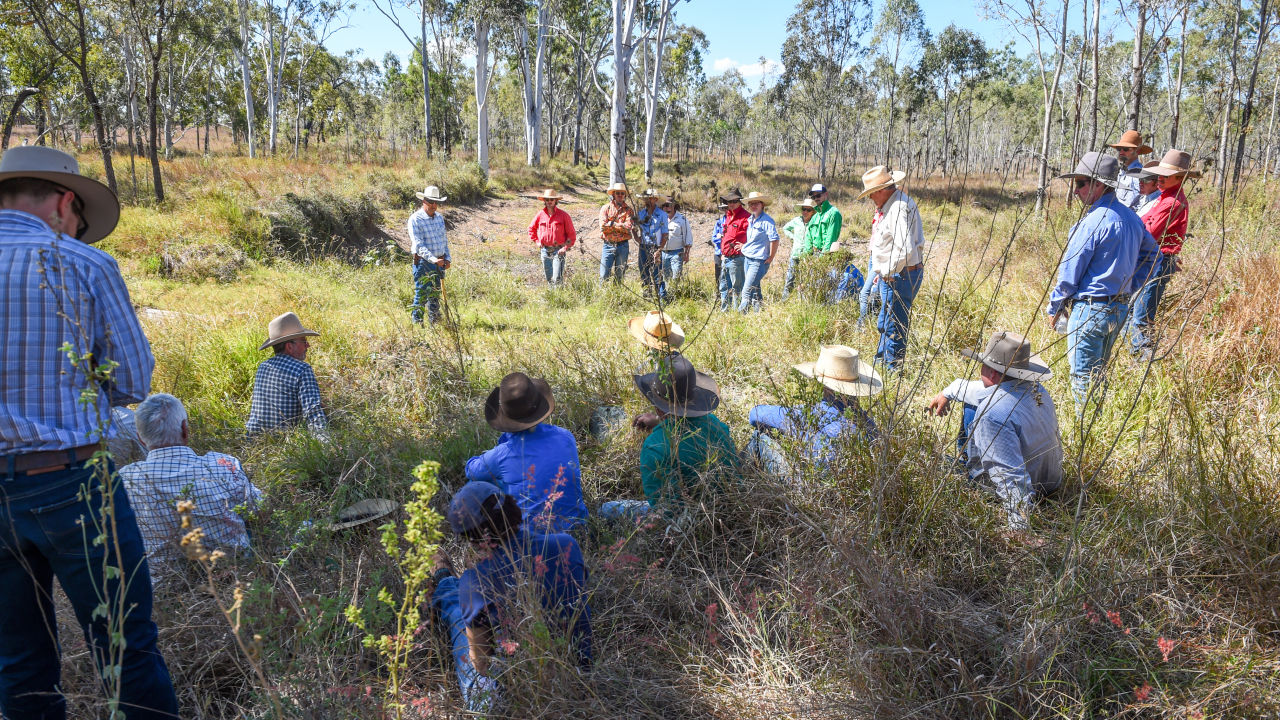 Healthy landscapes and productive farms, a win for agriculture and the Reef