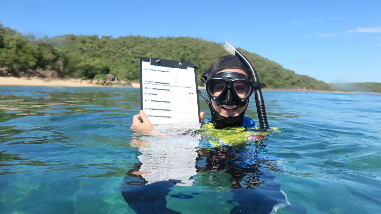 10 citizen science projects get all hands on deck to boost Reef protection