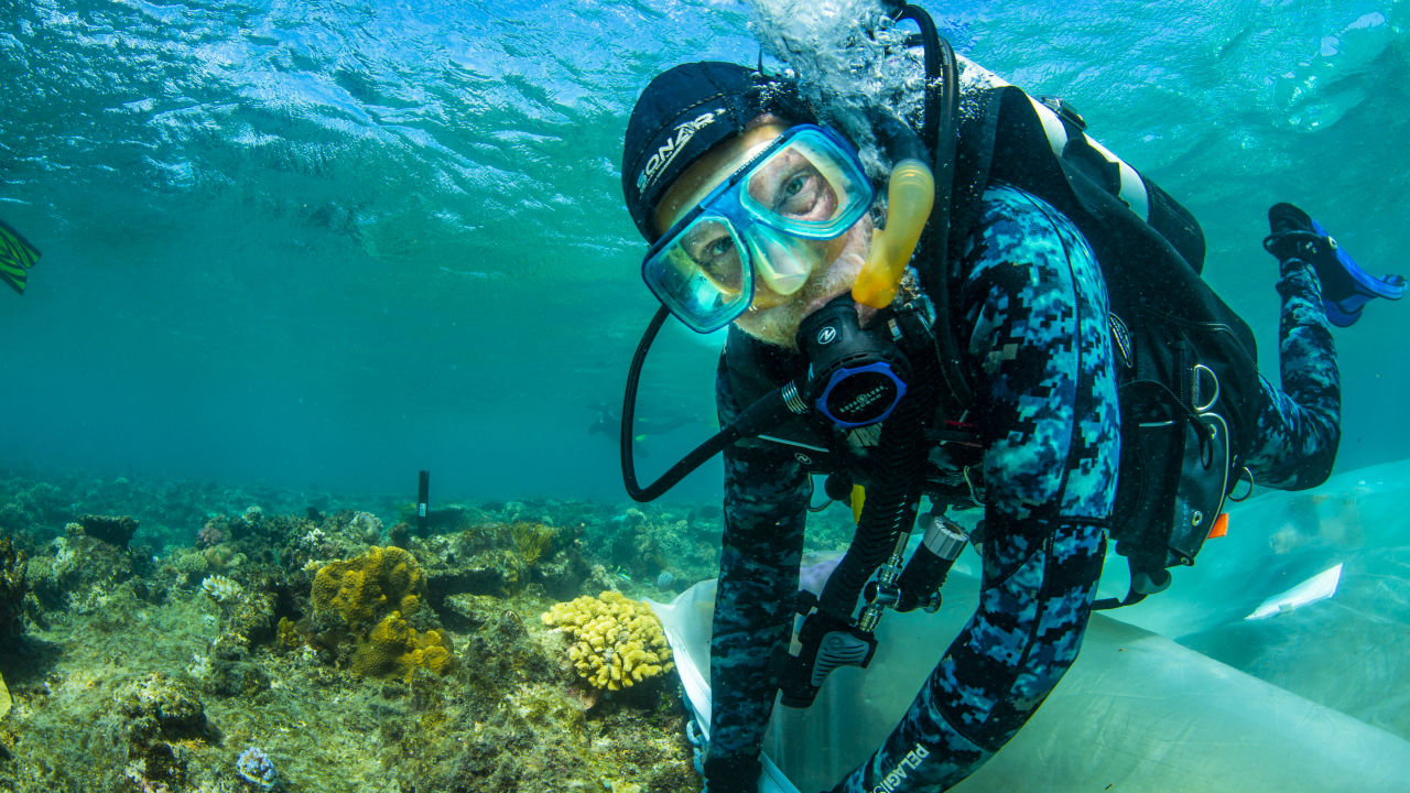 Australian-first reef restoration hub for Cairns & Port Douglas