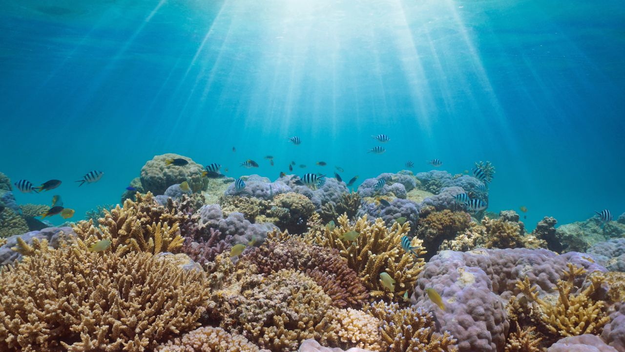 Climate change: What does ‘locked in’ mean?