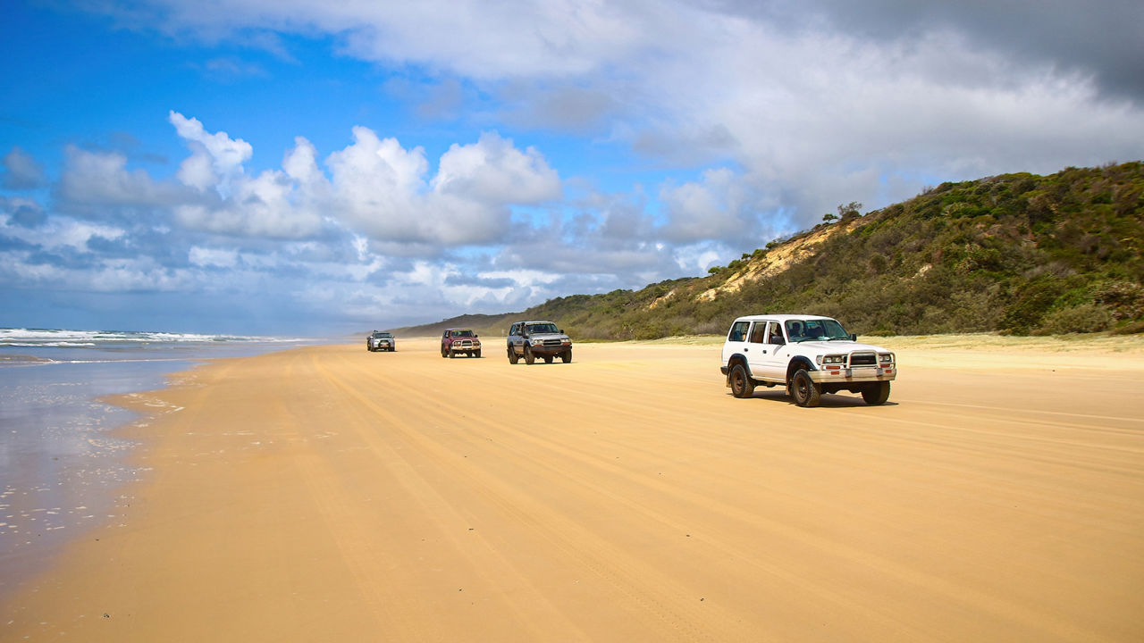 Driving in the right direction for turtle protection