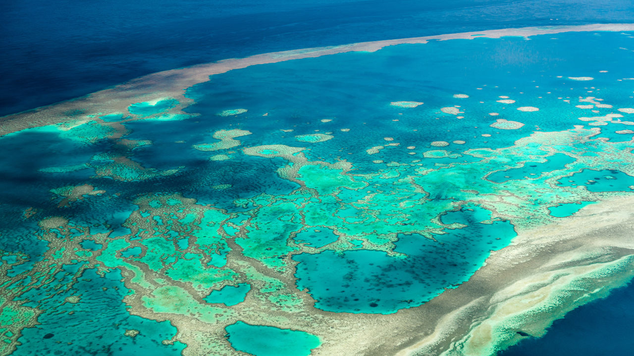 How we predict Reef threats like coral bleaching
