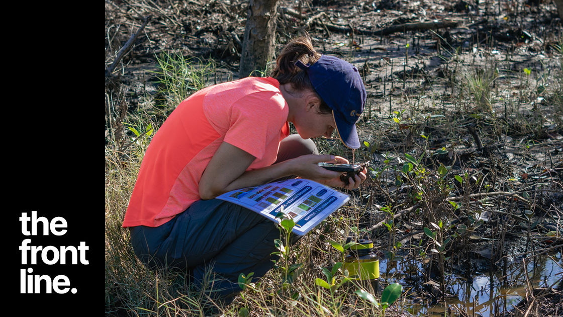 On the Front Line with saltmarsh monitoring volunteers