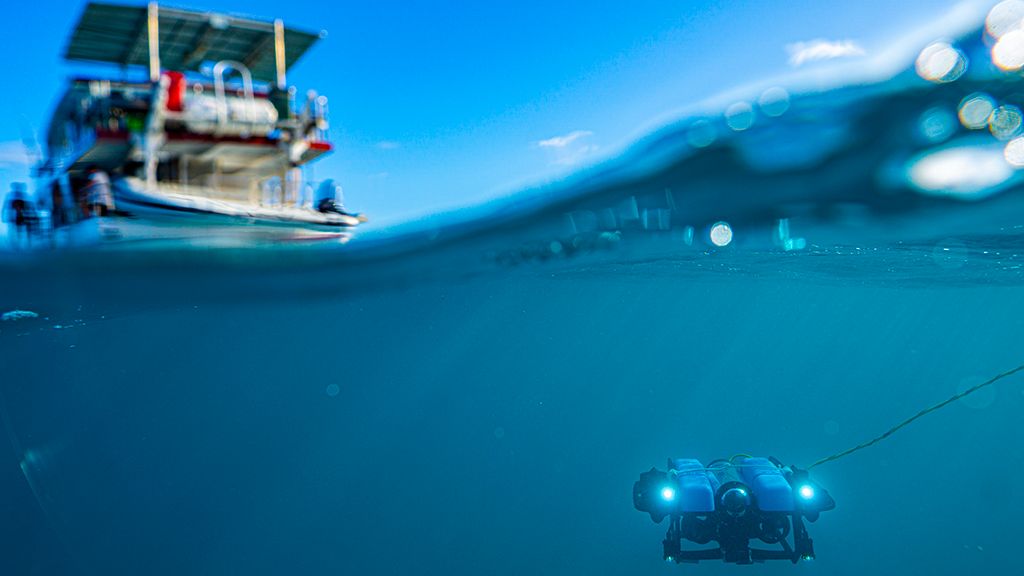 Drones, AI and e-DNA: new ways to keep tabs on Great Barrier Reef and animal health