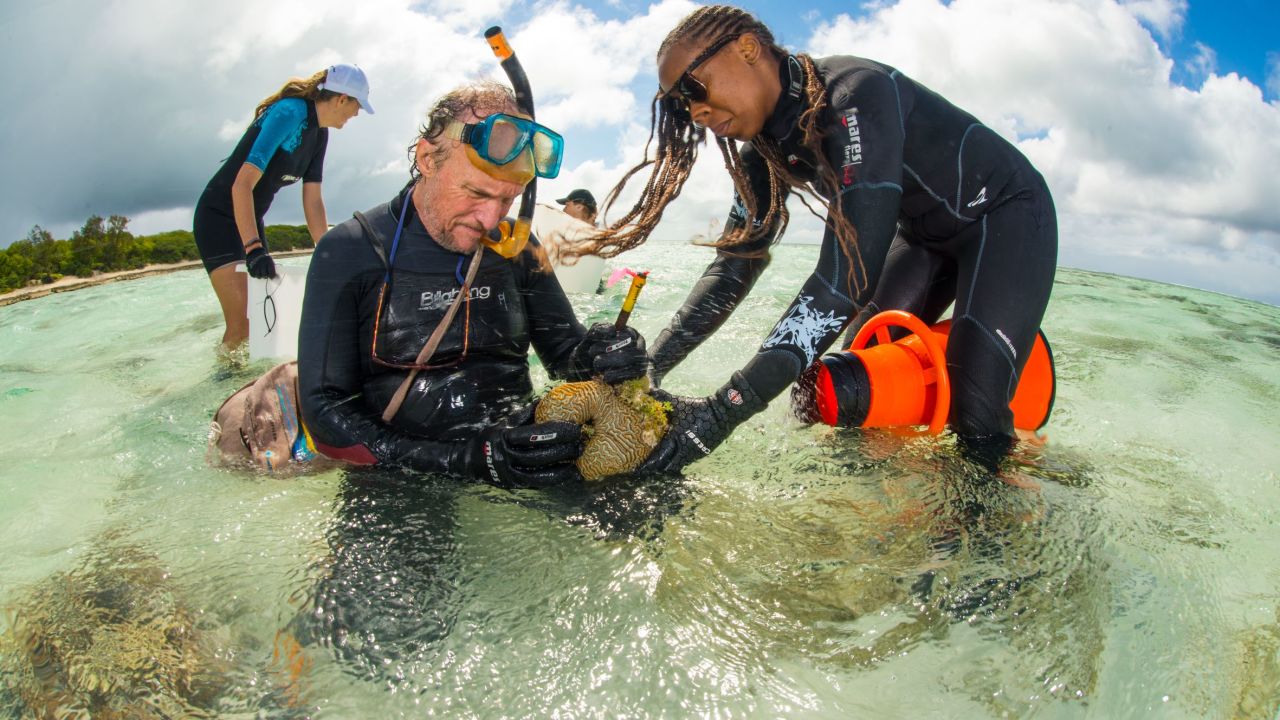 We must not delay action to save the Great Barrier Reef