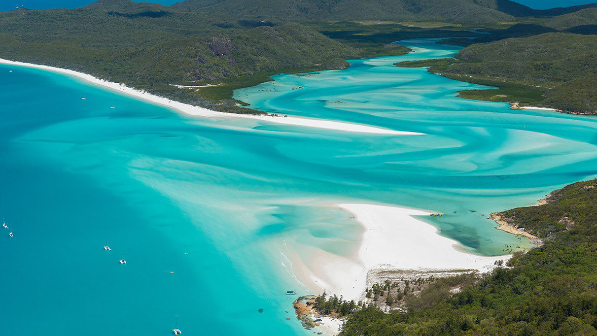 Whitsundays to become next Reef climate change refuge