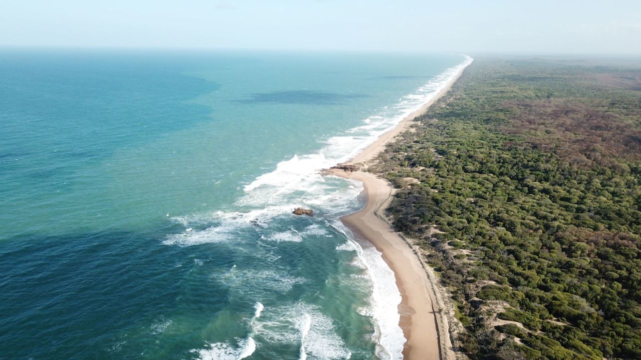 Aerial view of Wreck Rock Beach, home of the Wreck Rock Turtle Monitoring Project.