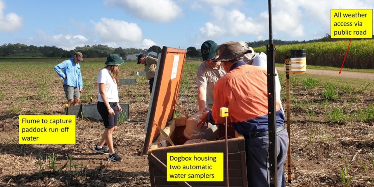Schembri's demonstration site paddock outside Habana township. Credit: SRA